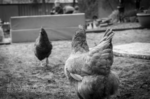 OutdoorKindy_T3_2013-0763