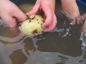 ???????????????????????????????