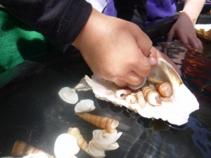 11.11.14 (100) (1024x768)