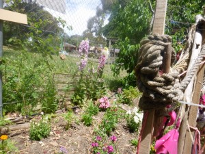 11.11.14 (137) (1024x768)