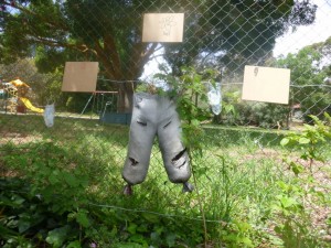 11.11.14 (140) (1024x768)