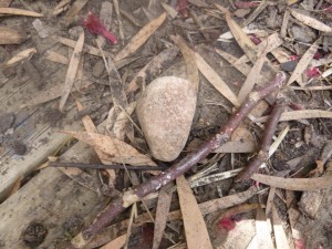 11.11.14 (141) (1024x768)