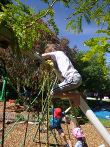 11.11.14 (35) (768x1024)