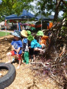 11.11.14 (41) (768x1024)