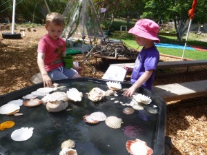 11.11.14 (94) (1024x768)