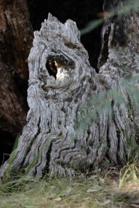 10325414_1436621873311280_5846151774798133242_n