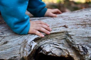 10423926_10152999749746312_8198336131924552199_n