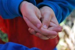 10478994_10153457013545757_1213595889705427245_n