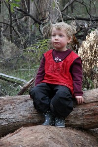 10523228_1436624559977678_5909045962959018206_n