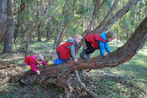 10628383_10153457023695757_7838337411927585513_n