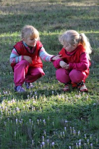 10645266_1436620436644757_1372597204722682131_n