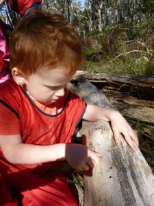 11037281_1436268356679965_4454624180203190522_n