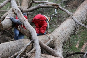 11049508_1436624093311058_7770747913216610297_n