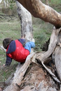 11150461_1436622886644512_902271371909561702_n