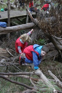 11193415_1436624229977711_9196835604197355_n