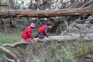 11207282_1436623806644420_6908490008800750695_n