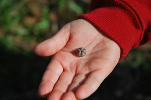 11209588_10153457033945757_3682214790332383835_n