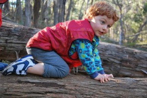 11227387_10153457044250757_3676474955875653253_n