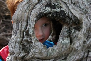 11239621_1436622559977878_2410737944434305000_n