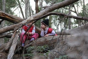 11295548_1436623833311084_6876525106437723670_n