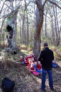 11295775_10152999751081312_8155688681474478607_n