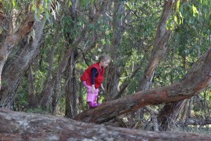 11329901_1436620829978051_422484533889378796_n