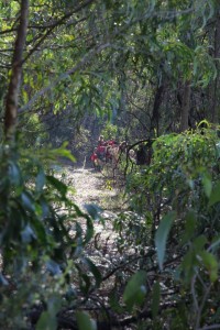 11351154_1436620273311440_5873528624286637190_n