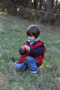 11351234_1436620496644751_6177048418993997212_n