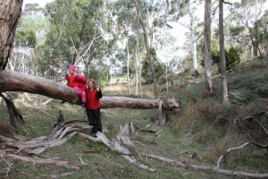 11377077_1436623436644457_7507886056570541077_n