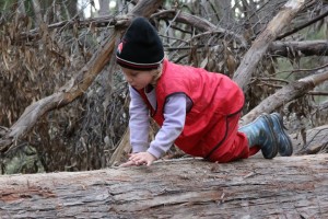 11377078_1436623953311072_6759669967694384561_n