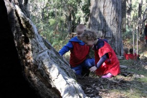 11377253_1436622389977895_5414845140051531914_n