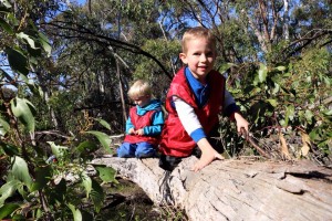 11377279_10152999749521312_6906588143855260762_n