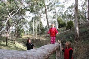 1525158_1436623356644465_8926383278703767662_n