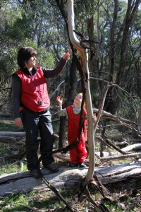 1560523_1436621253311342_5191825253156634286_n