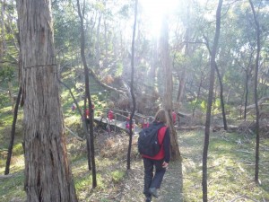 18006_1436266823346785_4458196691958957448_n