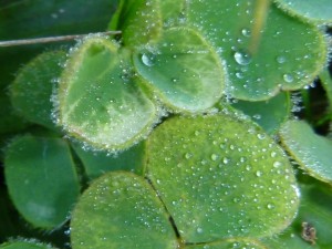 19407_1436618389978295_2859599569226513776_n